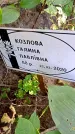 Захоронение ID 1288033