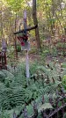 Захоронение ID 1288054