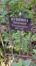 Захоронение ID 1288076