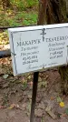 Захоронение ID 1288110