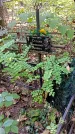 Захоронение ID 1288117