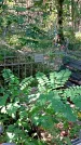 Захоронение ID 1288131