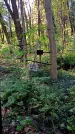 Захоронение ID 1288190