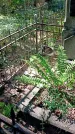 Захоронение ID 1288204