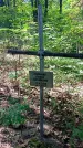 Захоронение ID 1288207