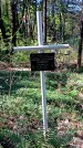 Захоронение ID 1288214