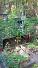 Захоронение ID 1288219