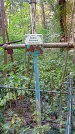 Захоронение ID 1288228