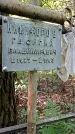 Захоронение ID 1288250