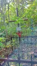 Захоронение ID 1288271
