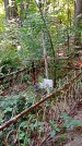 Захоронение ID 1288352