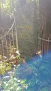 Захоронение ID 1288386