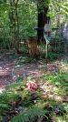 Захоронение ID 1288415