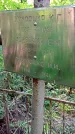 Захоронение ID 1288420