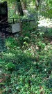 Захоронение ID 1288424