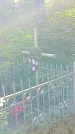 Захоронение ID 1288430