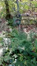 Захоронение ID 1288467