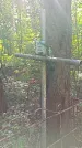Захоронение ID 1288492