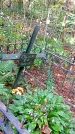 Захоронение ID 1288508
