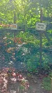 Захоронение ID 1288559