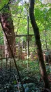 Захоронение ID 1288574