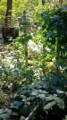 Захоронение ID 1288592