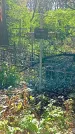 Захоронение ID 1288594