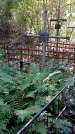 Захоронение ID 1288616