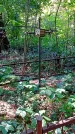 Захоронение ID 1288619