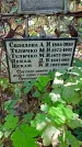 Захоронение ID 1288624