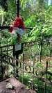 Захоронение ID 1288639