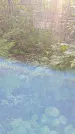 Захоронение ID 1288660