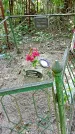 Захоронение ID 1288692