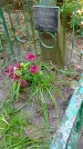 Захоронение ID 1288704