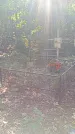 Захоронение ID 1288736