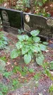 Захоронение ID 1288778