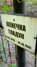 Захоронение ID 1288784