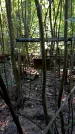 Захоронение ID 1288793