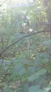 Захоронение ID 1288844