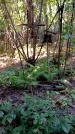 Захоронение ID 1288858