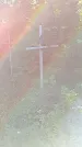 Захоронение ID 1288923