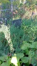 Захоронение ID 1289007