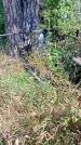 Захоронение ID 1289118