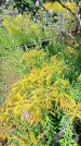 Захоронение ID 1289179