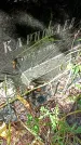 Захоронение ID 1289180
