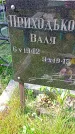 Захоронение ID 1289231
