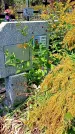 Захоронение ID 1289261