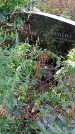 Захоронение ID 1289322