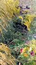 Захоронение ID 1289327