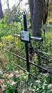Захоронение ID 1289390